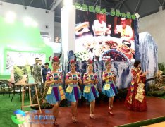 2016重慶國(guó)際旅游狂歡節(jié)萬盛展廳