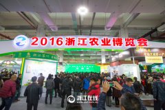 看展覽、嘗美食、囤年貨 2016浙江農(nóng)博會(huì)
